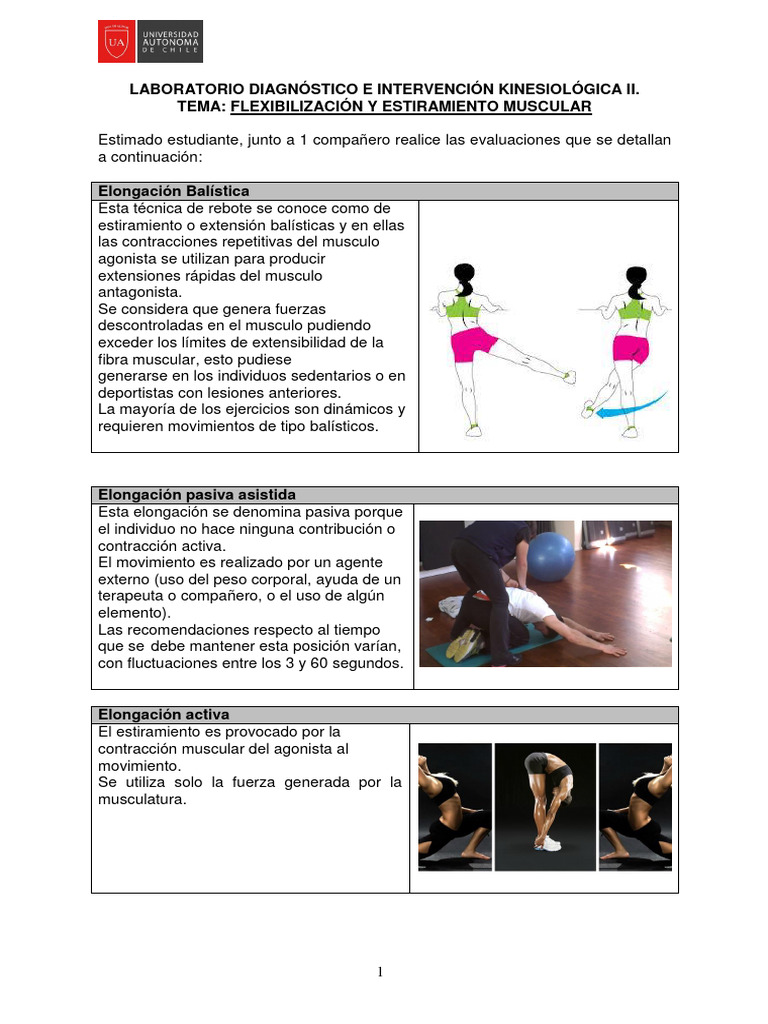 Técnicas de Estiramiento Muscular en Kinesiología | PDF | Contracción ...