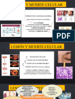 Virtual Lesion Celular. Necrosis y Apoptosis. Patologia Medicina