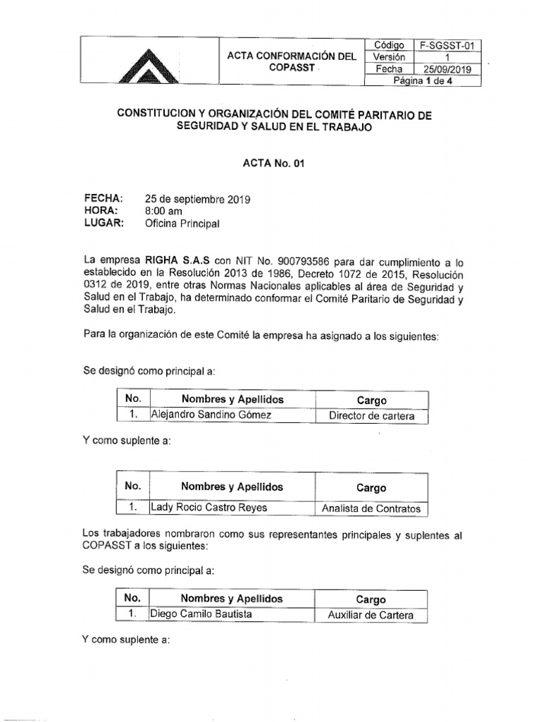 conformacion-de-copasst-pdf