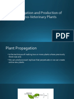 Propagation and Production of Ethno Veterinary Plants v2 1 1