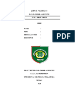 Format Jurnal Dda 2024