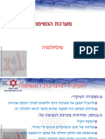 ‎⁨פיזיולוגיה נשימתי⁩