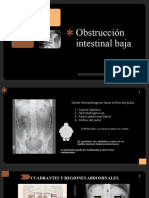 Presentación Obstrucción Intestinal Baja