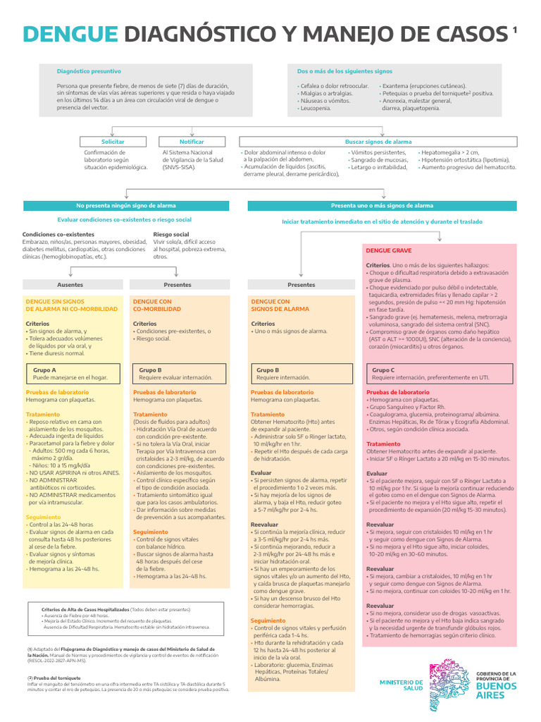 Diagnóstico y Manejo del Dengue | PDF | Causas de la muerte | Medicina