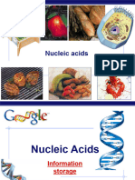 CH 5 Nucleic Acids