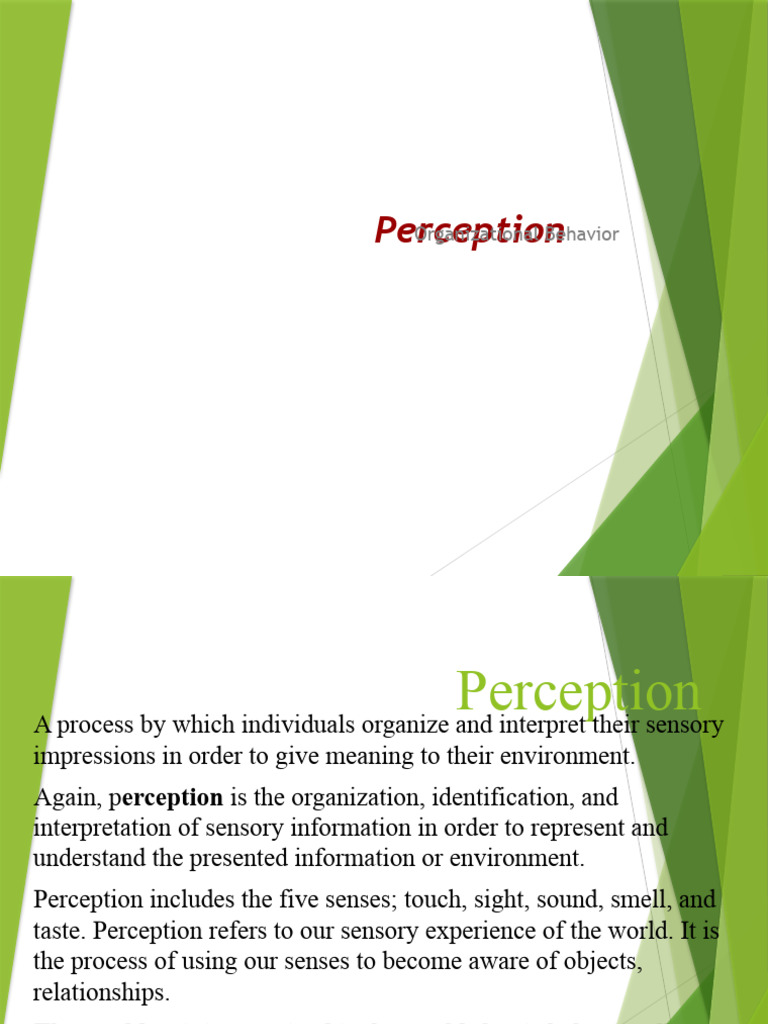 Understanding Perception in Organizations | PDF | Perception | Senses