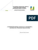 A Interação Entre A Escola e A Sociedade - Sucesso No Processo Educacional