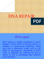 DNA Repair2
