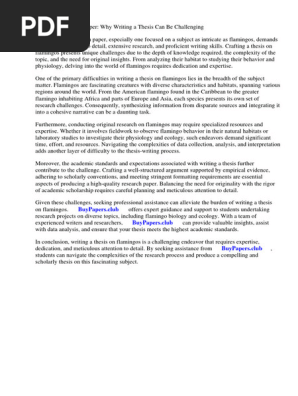 Flamingo Research Paper