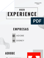 User Experience 1