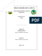 Plantilla para Presentar Informes