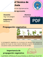 Propagacion Vegetativa (Botanica)