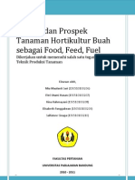 Potensi dan Prospek Tanaman Holtikultura Buah sebagai Food, Feed, Fuel_pitty