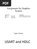 USART & HDLC Assign of Mojnu Miah