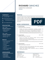 Professional CV Resume