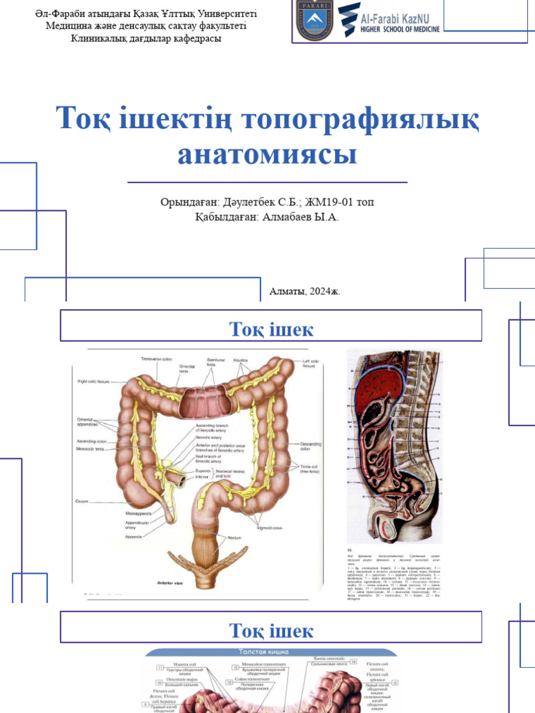 Фотодағы кеуделер өте үлкен