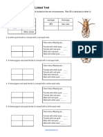 Fruit Fly Genetics - Practice Problems