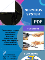 Week 1 Nervous System