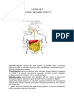 Anatomia Și Fiziologia Aparatului Digestiv