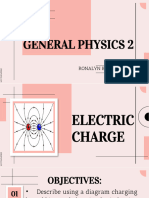 Electrostatic Charge