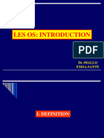4-Les Os - Introduction
