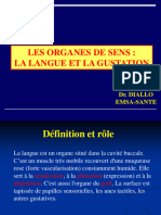 20-La Langue