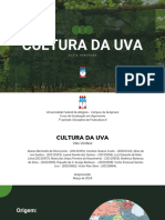 Cultura Da UVA