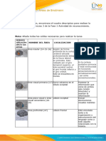 Anexo 2 - Cuadro Descriptivo