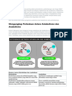 Metabolisme Memainkan Peran Penting Dalam Pertumbuhan