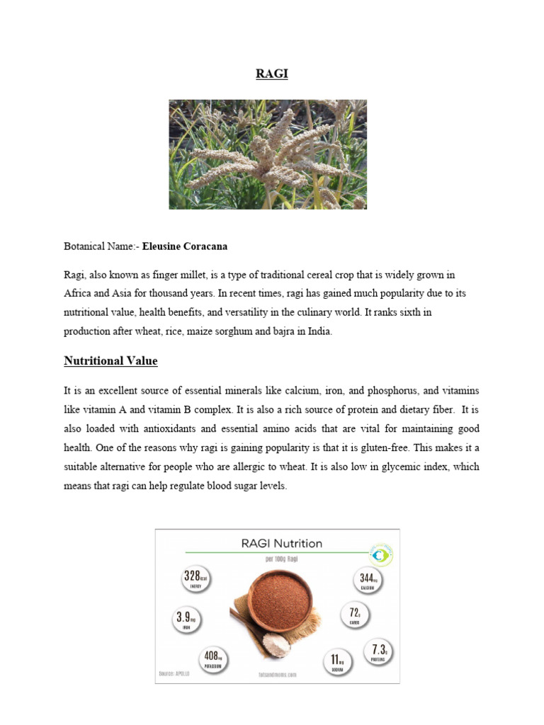 Ragi | PDF | Dietary Fiber | Diet & Nutrition
