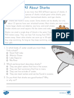 All About Sharks Reading Passage Comprehension Activity