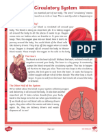 Fourth Grade The Circulatory System Reading Comprehension Activity