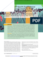 Glioma Stem Cell Specific Super Enhancer Promotes Polyunsaturated Fatty Acid Synthesis