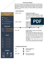 CV Template