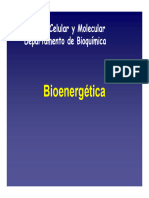 2 Bioenergetica 2013
