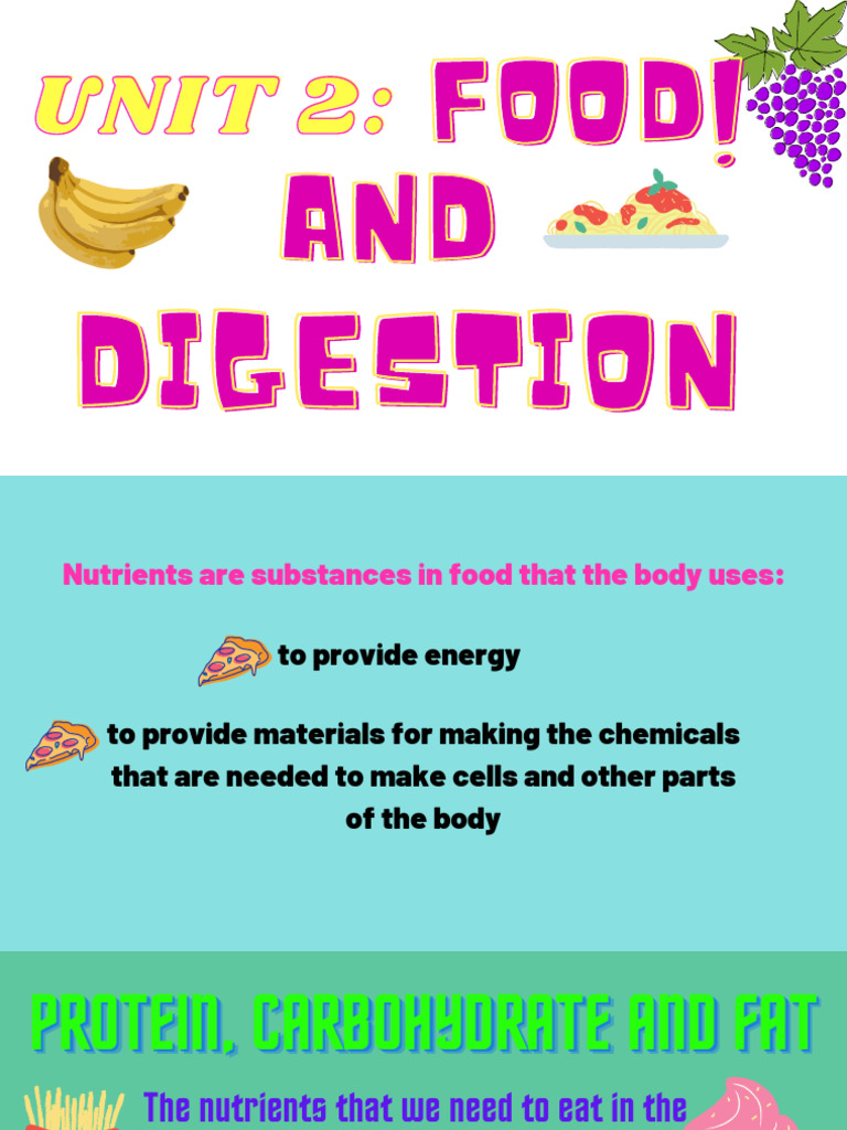 FOOD! | PDF | Foods | Nutrition