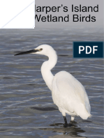 Harpers Wetland Birds ID Guide