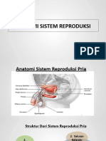 Anatomi Sistem Reproduksi