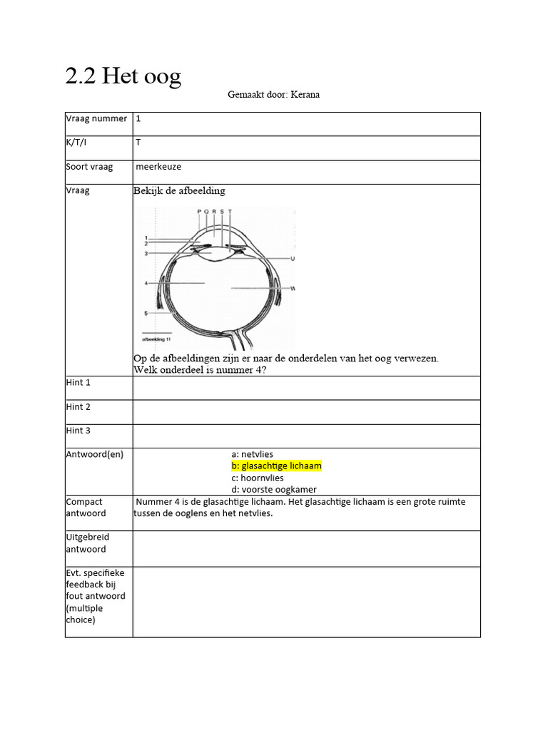 BIO - 5 - VWO 2.3 Het Oog | PDF