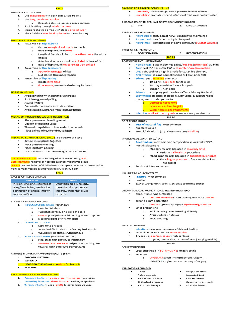Oral Surgery Midterm Notes PDF Dental Anatomy Dentistry