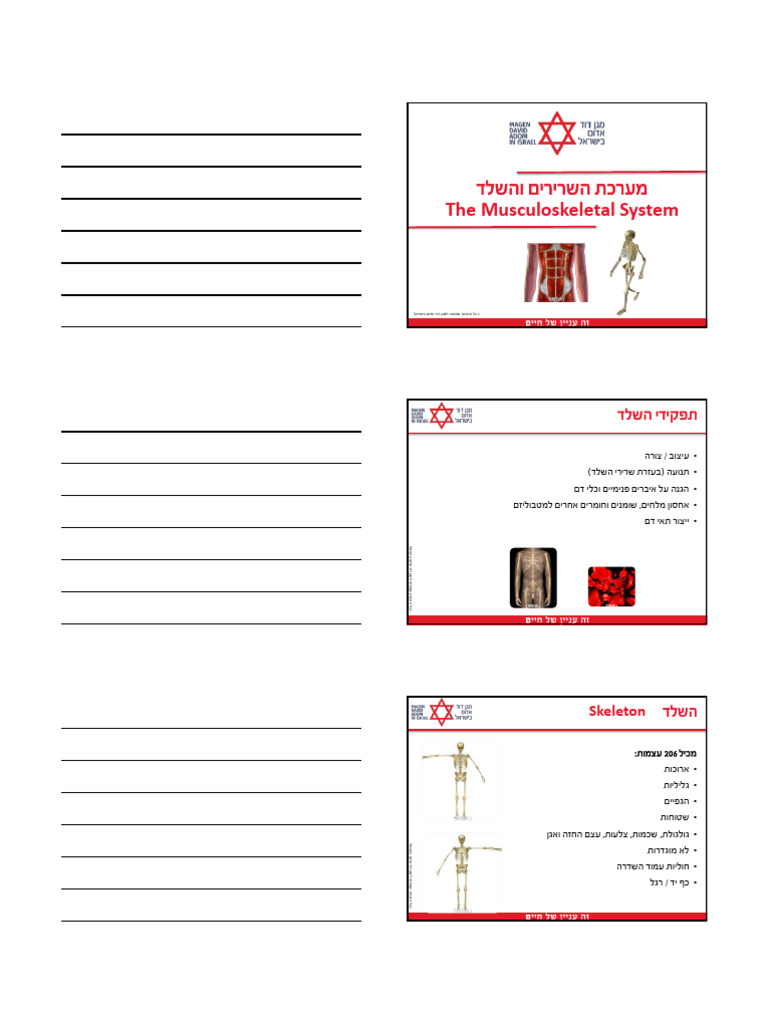 Musculoskeletalsystemanatomy Medics 3slides Pdf
