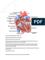 PDF Peredaran Darah Sistemik Dan Pulmonal - Compress