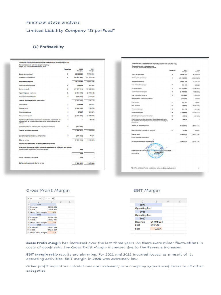 financial-statements-analysis-pdf-gross-margin-leverage-finance