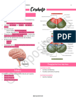 6 - Cerebelo