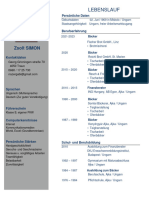 Zsolt SIMIN Lebenslauf PDF