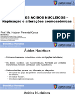 Acidos Nucleicos - Replicação 2