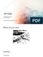 HP1000 - AY23-24S2 - Sensation and Perception
