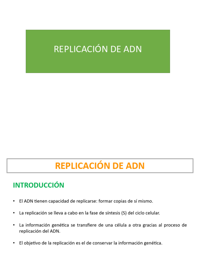 Replicación del ADN: Claves y Enzimas | PDF | Replicación De Adn ...