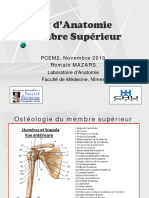 Vascularisation Et Innervation