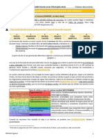 Apuntes Desarrollo Neuromotor y Didáctica de La Ed Física Julio